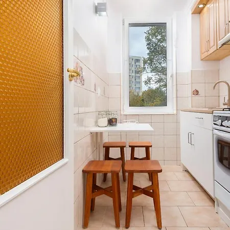 Comfy & Spacious By Renters Apartment Warsaw