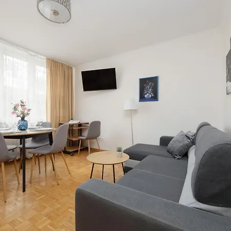 Apartment Comfy & Spacious By Renters