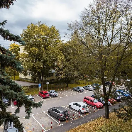 Comfy & Spacious By Renters *