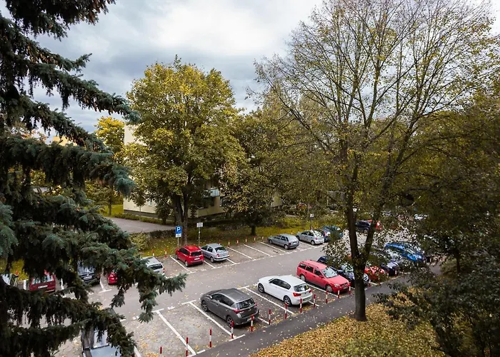 Comfy & Spacious By Renters *